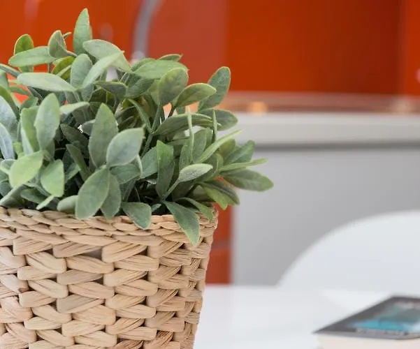 Mary's Luxury * 克里斯阿穆迪亚