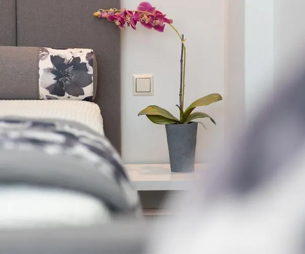 公寓 Mary's Luxury 克里斯阿穆迪亚